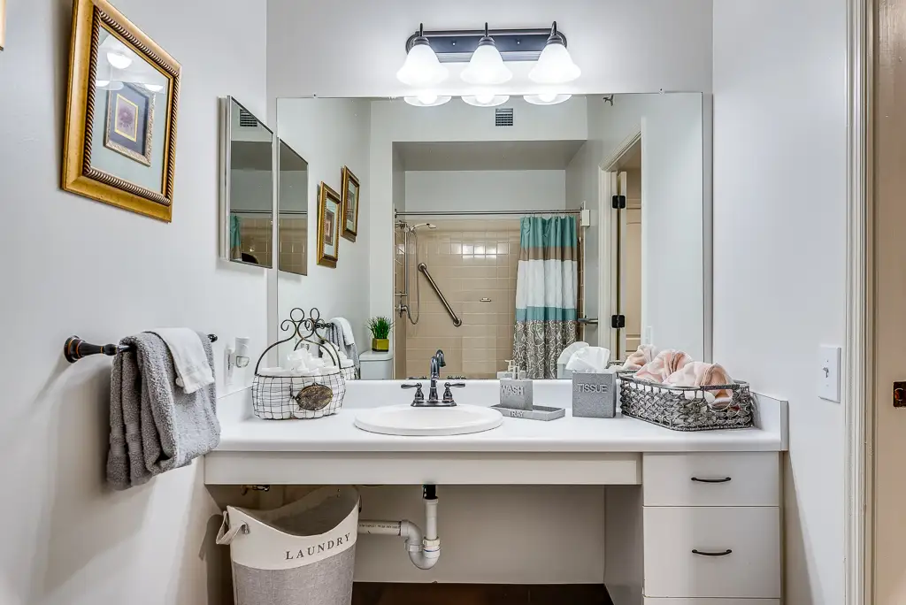Bathroom Vanity and Shower